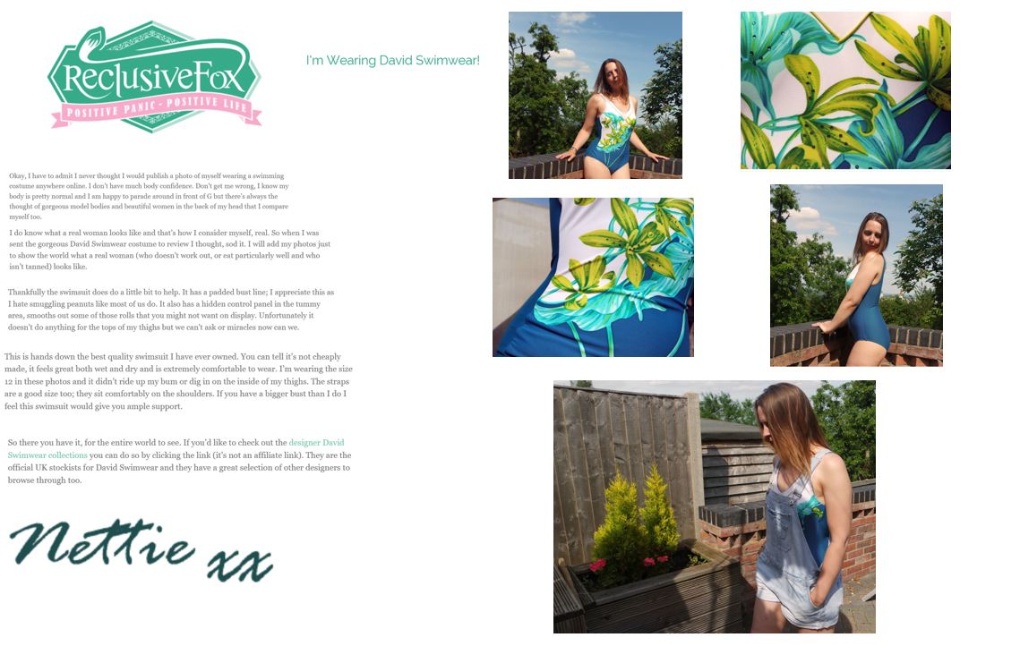 Reclusive fox david swimwear review