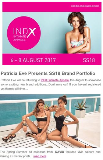 David Swimwear INDX intimate apparel emailer